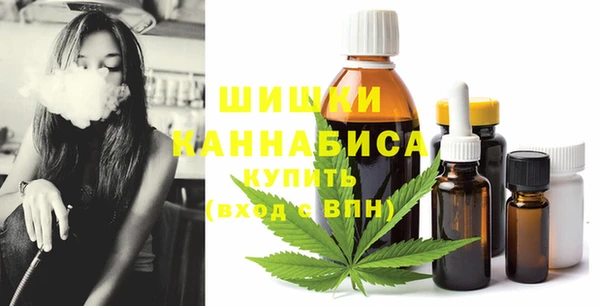 СК Вязьма