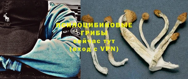 СК Вязьма
