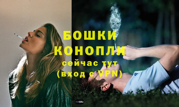 меф Горняк